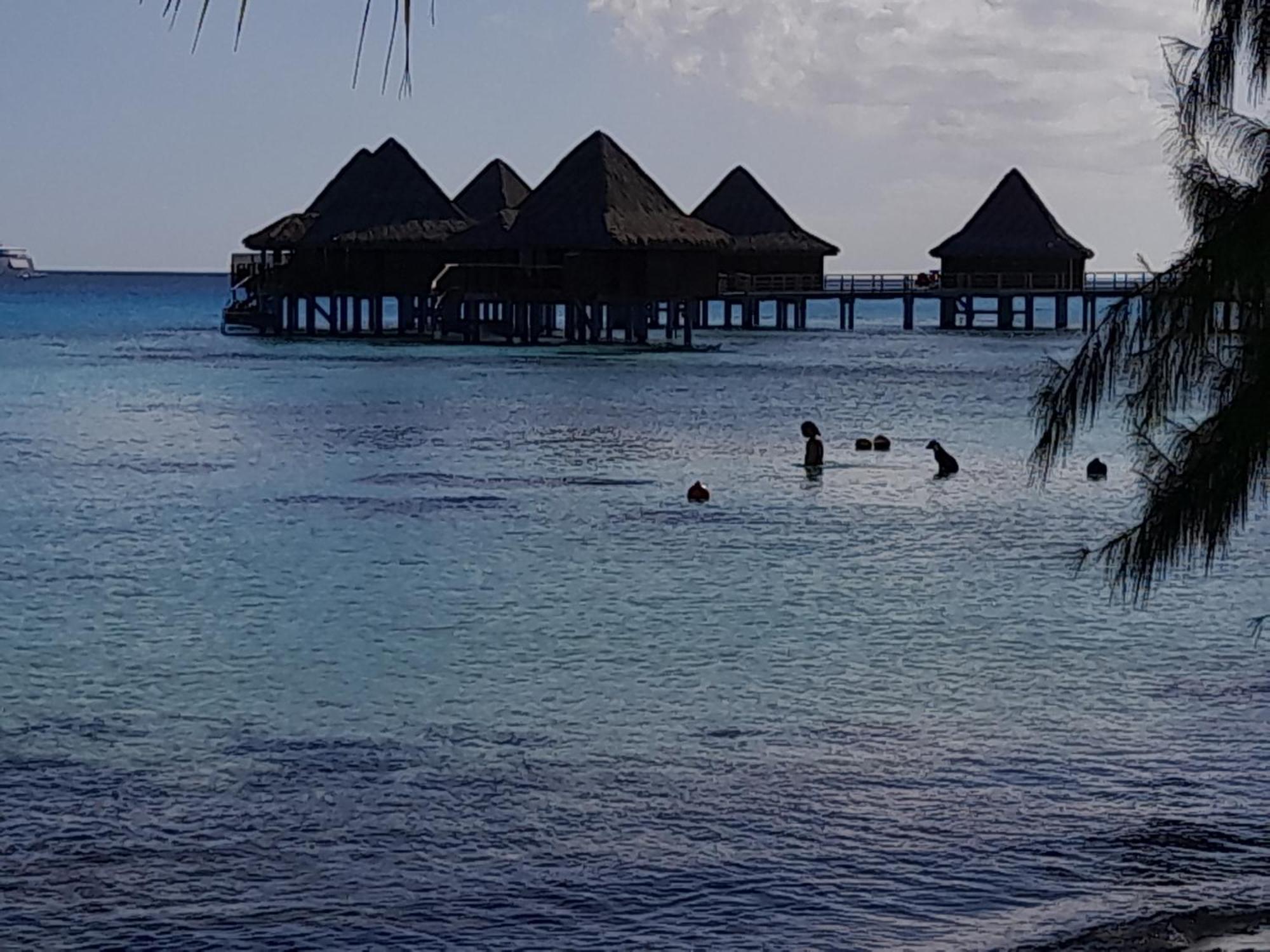 Hinamoe Lodge Avatoru Exteriör bild