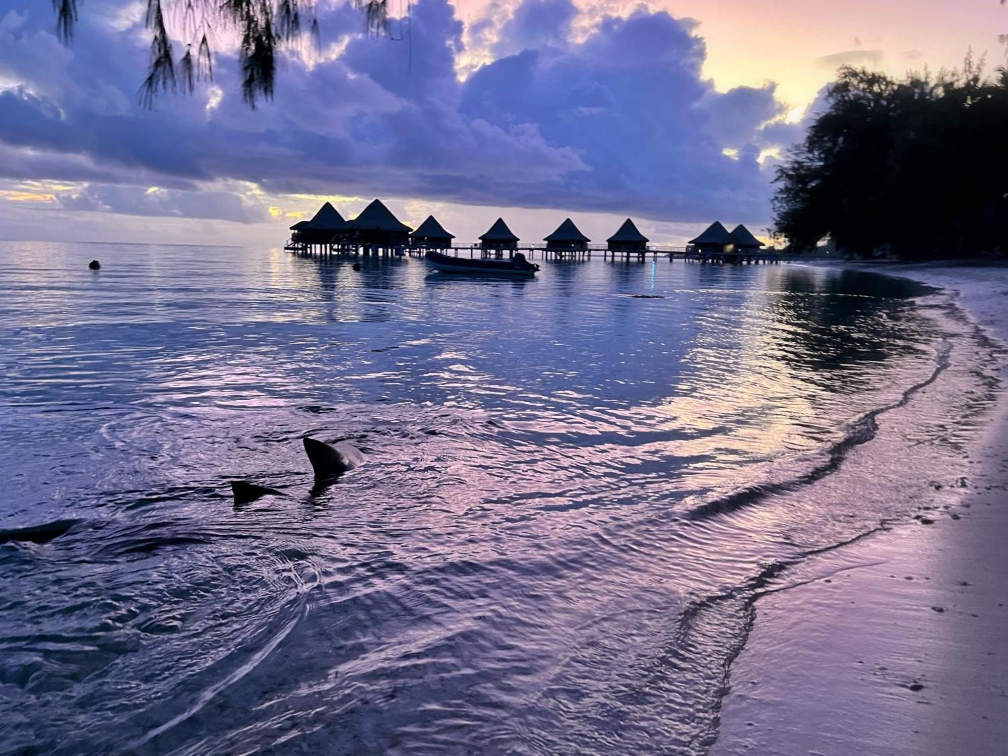 Hinamoe Lodge Avatoru Exteriör bild